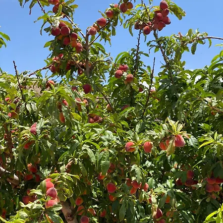 Vallechico Σπίτι διακοπών
